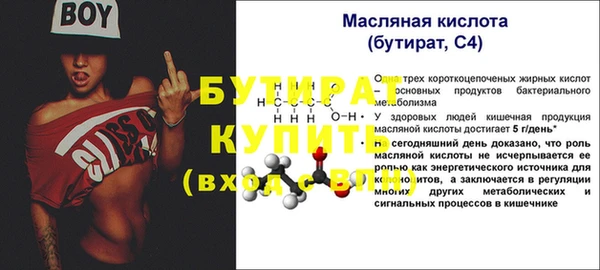 индика Бронницы