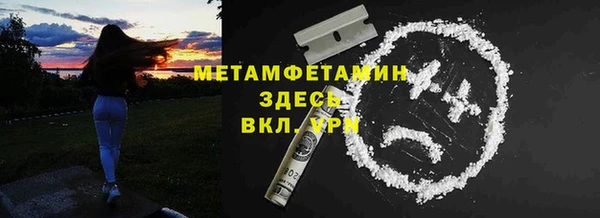 индика Бронницы