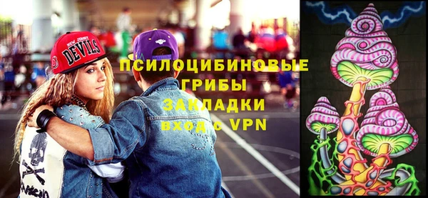 ПСИЛОЦИБИНОВЫЕ ГРИБЫ Бородино
