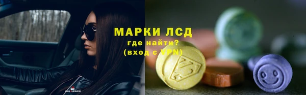ПСИЛОЦИБИНОВЫЕ ГРИБЫ Бородино