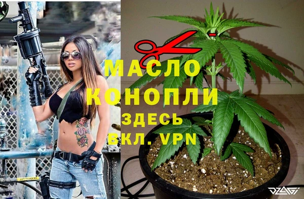 индика Бронницы