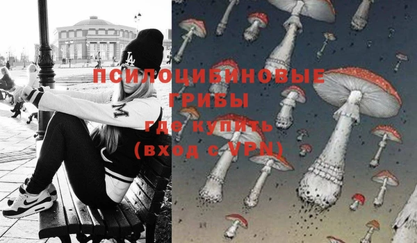 MESCALINE Богородицк