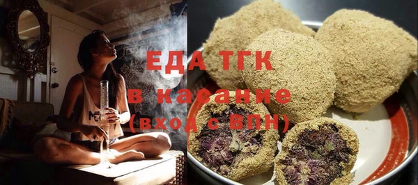 индика Бронницы