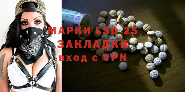 ПСИЛОЦИБИНОВЫЕ ГРИБЫ Бородино