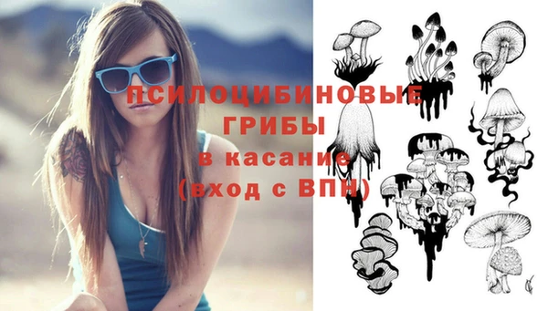 индика Бронницы
