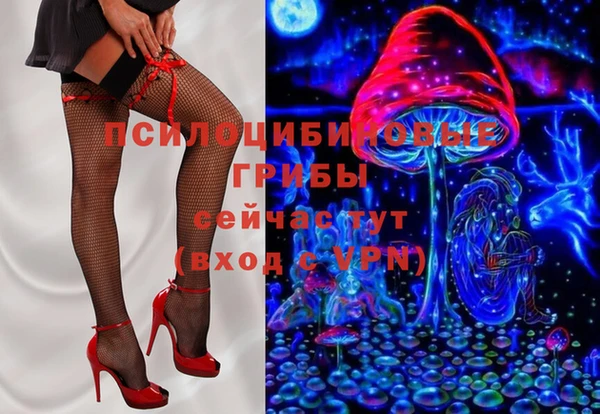 индика Бронницы