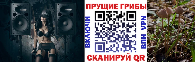 Псилоцибиновые грибы мицелий  Медногорск 